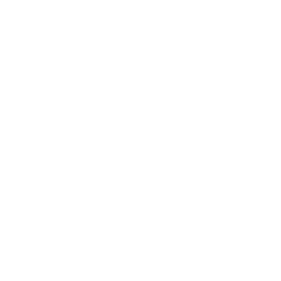 Aerial Logo